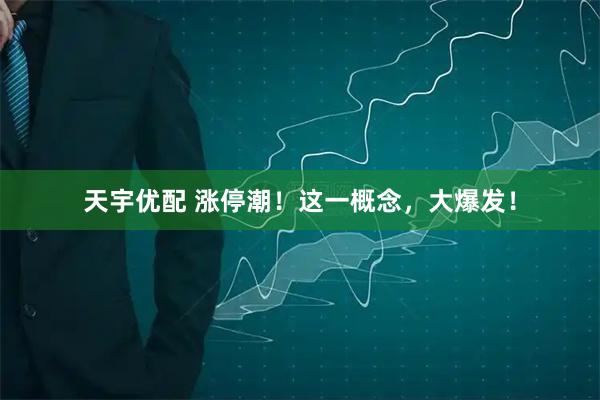 天宇优配 涨停潮！这一概念，大爆发！