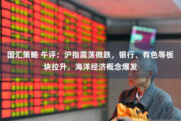 国汇策略 午评：沪指震荡微跌，银行、有色等板块拉升，海洋经济概念爆发