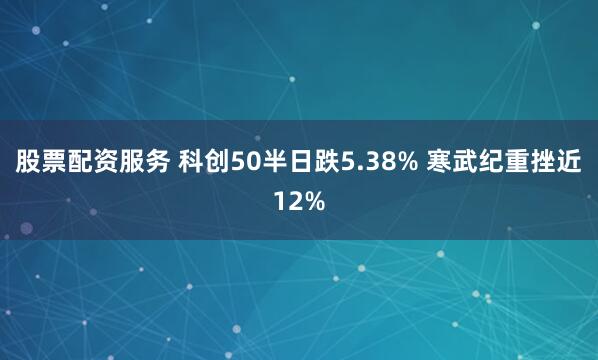 股票配资服务 科创50半日跌5.38% 寒武纪重挫近12%