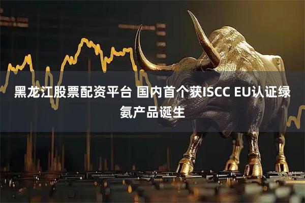黑龙江股票配资平台 国内首个获ISCC EU认证绿氨产品诞生