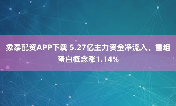 象泰配资APP下载 5.27亿主力资金净流入，重组蛋白概念涨1.14%