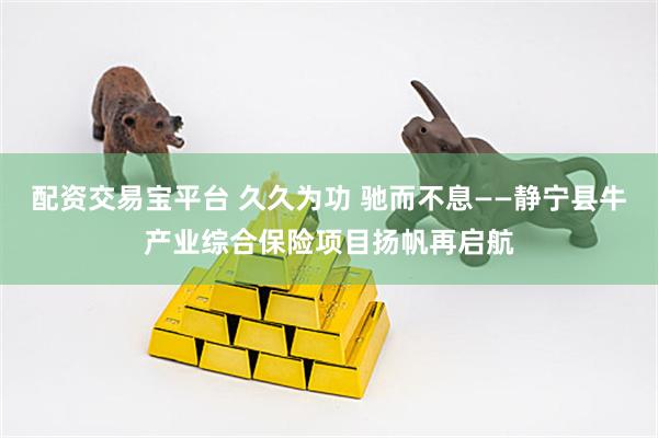 配资交易宝平台 久久为功 驰而不息——静宁县牛产业综合保险项目扬帆再启航