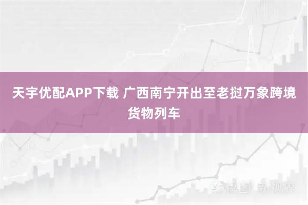 天宇优配APP下载 广西南宁开出至老挝万象跨境货物列车