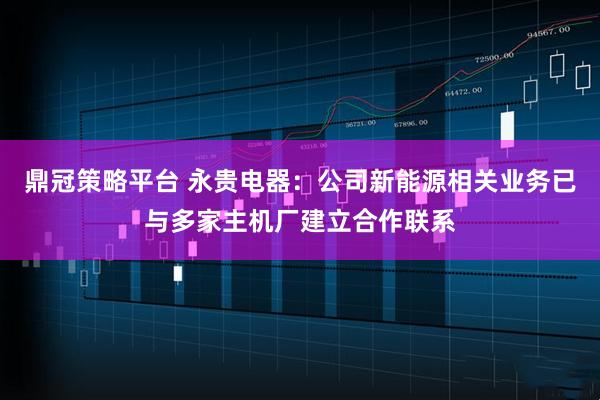 鼎冠策略平台 永贵电器：公司新能源相关业务已与多家主机厂建立合作联系
