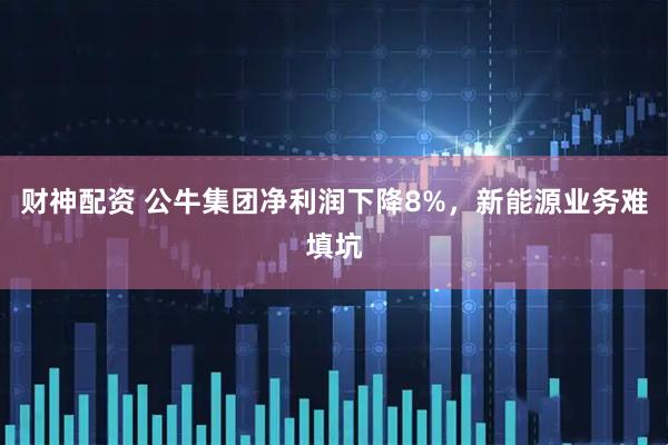 财神配资 公牛集团净利润下降8%，新能源业务难填坑