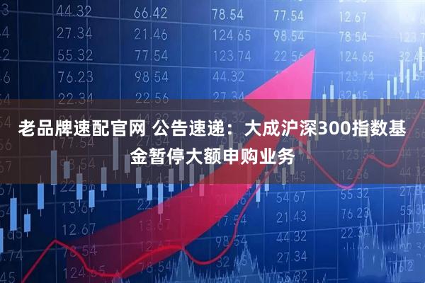 老品牌速配官网 公告速递：大成沪深300指数基金暂停大额申购业务